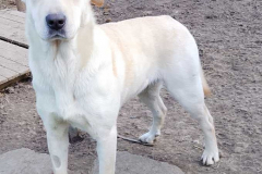 PHOTO-2026-04-28-11-15-10