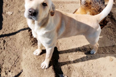 PHOTO-2026-04-28-11-19-04