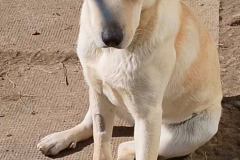 PHOTO-2026-04-28-11-19-31