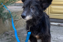 PHOTO-2026-03-30-16-58-33