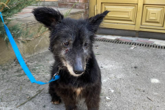 PHOTO-2026-03-30-16-58-34-1