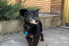 PHOTO-2026-03-30-16-58-34-3