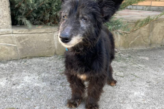 PHOTO-2026-03-30-16-58-34