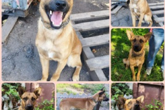 PHOTO-2025-08-27-21-03-26