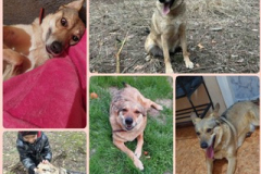 PHOTO-2026-03-19-12-28-48