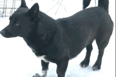 PHOTO-2026-03-28-14-00-04