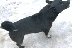 PHOTO-2026-03-28-14-01-24