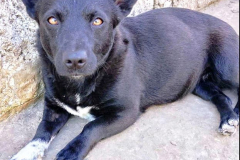 PHOTO-2026-04-03-09-43-40