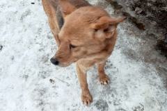 Lambada_274_3_27.01.2024