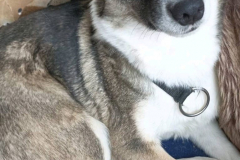 PHOTO-2026-02-27-08-42-41