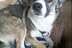 PHOTO-2026-02-27-08-42-50