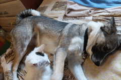 PHOTO-2026-02-27-08-43-00