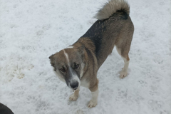 PHOTO-2026-02-27-08-43-07