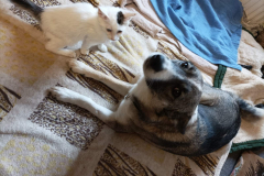 PHOTO-2026-02-27-08-43-15