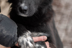 PHOTO-2026-03-13-09-28-34-1