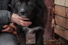 PHOTO-2026-03-13-09-28-34