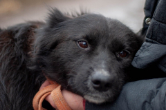 PHOTO-2026-03-13-09-28-39-1