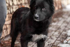 PHOTO-2026-03-13-09-28-39