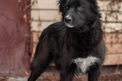 PHOTO-2026-03-13-09-28-40-1