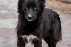 PHOTO-2026-03-13-09-28-40