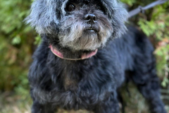 PHOTO-2025-11-08-18-33-43-1