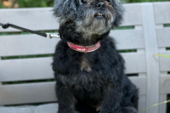 PHOTO-2025-11-08-18-33-43