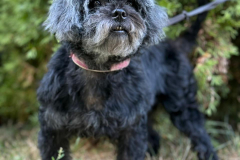 PHOTO-2025-11-08-18-33-44