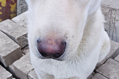 165d7e26-3d96-4fbf-850c-7051ee15affa