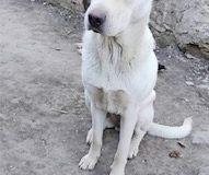 d46786ef-6ec3-4598-9871-2b6ae1950743