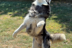 PHOTO-2025-11-08-18-35-23