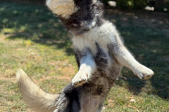 PHOTO-2025-11-08-18-35-24-1