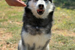 PHOTO-2025-11-08-18-35-24-2