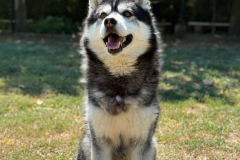 PHOTO-2025-11-08-18-35-24-3