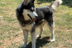 PHOTO-2025-11-08-18-35-24-4