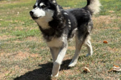 PHOTO-2025-11-08-18-35-24-5