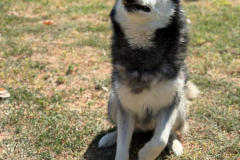 PHOTO-2025-11-08-18-35-24