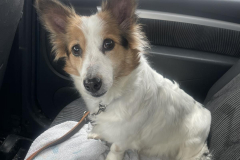 PHOTO-2026-02-19-13-10-24-1