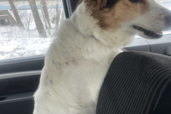 PHOTO-2026-02-19-13-10-24-2