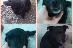 PHOTO-2025-11-25-12-36-30