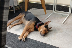 PHOTO-2025-08-28-12-41-15