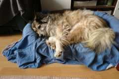 PHOTO-2025-12-13-13-15-00