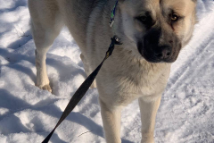 PHOTO-2026-03-15-16-29-27