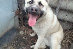 PHOTO-2026-03-15-16-29-28-1