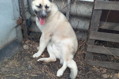 PHOTO-2026-03-15-16-29-28