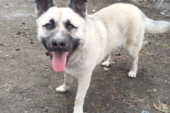 PHOTO-2026-03-15-16-29-29