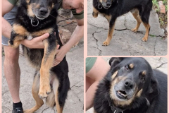 PHOTO-2026-03-26-19-17-12