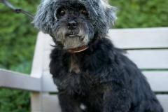 PHOTO-2025-11-08-18-33-43-2