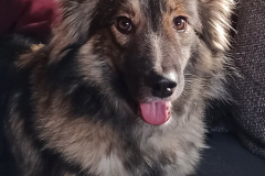 PHOTO-2025-12-07-11-18-59