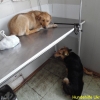 sam_6289