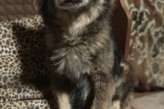 PHOTO-2025-10-20-08-38-37